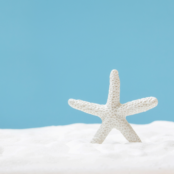 Nautical Decor