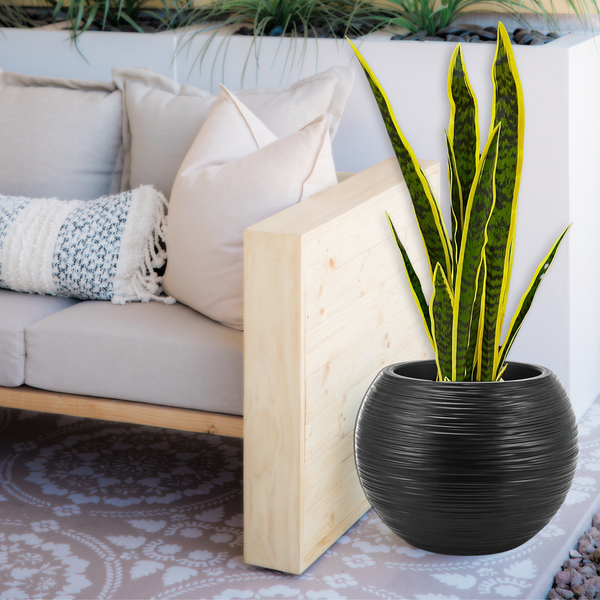 Round Black Plant Pot, Indoor Outdoor Home, Office, Patio, Front Porch, Backyard Decor, 18" Succulent Planter by Sona Casa