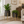 Set of 2 Brown Gold Metal Decorative Planters with Modern Finish for Indoor Home Decor