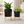 Set of 2 Modern Black and Gold Metal Planters with Geometric Design for Indoor Home Decor