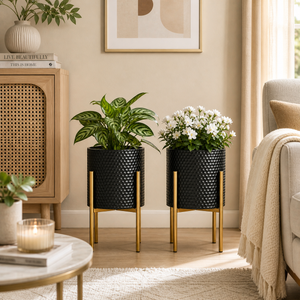 Set of 2 Large Black Metal Planters with Gold Legs, Modern Indoor Outdoor Decorative Pots by Sona Casa