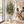 Artificial Olive Tree – white decorative planter beside a dining area