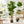 150 cm Artificial Fiddle Leaf Fig Tree Indoor Lifelike Faux Plant with Green Leaves in Black Pot for Home & Office Decor