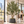 Large Nearly Natural 200 cm Artificial Olive Tree with Black Olives, Realistic Faux Plant for Indoor Outdoor Home and Patio