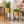 Pair of Large Metal Planter Pots, 24 and 22 inch Tall Indoor Planters with Sturdy Stands, Home Office Decor by Sona Casa