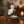Seated Prayer Buddha Statue, 11