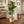Artificial Fig Tree 150 cm Tall Indoor Home Decor, Realistic Lifelike Faux Plant for Living Room or Office by Sona Casa