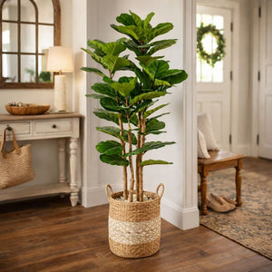 Artificial Fig Tree 150 cm Tall Indoor Home Decor, Realistic Lifelike Faux Plant for Living Room or Office by Sona Casa