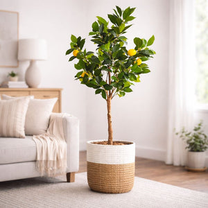 Artificial Citrus Plant 130 cm, Lemon Tree Fake Plant for Indoor Decor, Living Room, Patio Ornament by Sona Casa