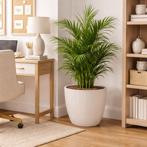 Modern Round Plastic Planter, 11 inch White Flower Pot with Drainage Hole, Home Office Garden Decor by Sona Casa