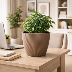 Modern Round Plastic Planter, 11 inch Brown Flower Pots with Drainage Hole, Home Office Garden Decor by Sona Casa