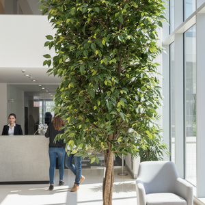 3 Meter, Tall Artificial Ficus Tree-Sona Casa