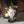 Welcome Gnome with Solar Powered Garden Lamp, Green White, Polyresin Lawn Gnome Statue, Patio Statue 13 inch 33 cm by Sona Casa